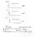 Fig. 07 - BATTERY SINTERED BODY, PRODUCING METHOD OF BATTERY SINTERED BODY AND ALL SOLID LITHIUM BATTERY