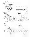 Fig. 02 - Labeling agent and methods for simultaneous sequencing and quantification of multiple peptides and proteins using the same