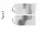 Fig. 09 - THERAPEUTIC APPLICATION OF ISOLATED NATURALLY-OCCURRING SOLUBLE TRUNCATED FORMS OF IL-23 RECEPTOR