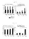 Fig. 02 - Method of efficiently establishing induced pluripotent stem cells