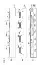 Fig. 02 - Method of manufacturing a semiconductor apparatus and electronic equipment
