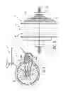 Fig. 02 - Continuously variable bicycle transmission