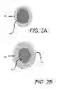 Fig. 03 - Modulation of plant biology