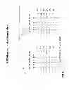 Fig. 03 - Method for the identification of the clonal source of a restriction fragment