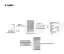 Fig. 02 - OLIGONUCLEOTIDE AMPLIFICATION PRIMERS FOR TARGETING ONCOGENIC HPV