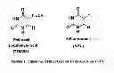 Fig. 02 - METHODS FOR ADMINISTERING DPD INHIBITORS IN COMBINATION WITH 5-FU AND 5-FU PRODRUGS