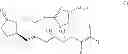 Fig. 09 - Compound having detrusor muscle-contracting activity and urethral sphincter muscle-relaxing activity