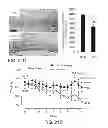 Fig. 33 - Methods for treating Parkinson's disease using pro-neurogenic compounds