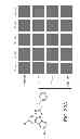 Fig. 34 - Methods for treating Parkinson's disease using pro-neurogenic compounds