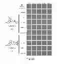 Fig. 40 - Methods for treating Parkinson's disease using pro-neurogenic compounds