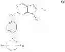 Fig. 09 - Pyrrolopyrimidine compounds and their uses