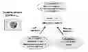 Fig. 01 - COMPOSITIONS AND METHODS FOR TREATING DIABETES AND NEUROPSYCHOLOGICAL DYSFUNCTION