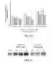 Fig. 06 - Method of treating Gaucher disease