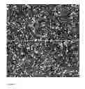 Fig. 02 - Adhesive compositions and use thereof