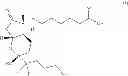 Fig. 02 - PREPARATION OF LUBIPROSTONE