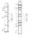 Fig. 12 - Single injection methods for obtaining conductance measurements within luminal organs using impedance devices