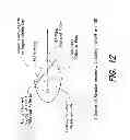 Fig. 13 - Near infrared imaging