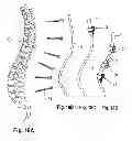 Fig. 09 - STABILIZATION DEVICE FOR STABILIZING BONES OF A VERTEBRA AND ROD CONNECTOR USED THEREFOR