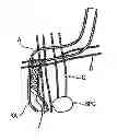Fig. 01 - METHOD FOR NEUROMODULATION