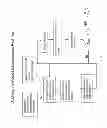 Fig. 07 - Methods and systems for assessing clinical outcomes
