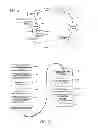 Fig. 03 - PRICE GUARANTEE METHODS AND SYSTEMS