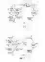Fig. 04 - PRICE GUARANTEE METHODS AND SYSTEMS