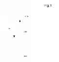 Fig. 02 - Inferred Dynamic Offers Subject To Mobile Device Holder Location