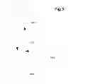 Fig. 04 - Inferred Dynamic Offers Subject To Mobile Device Holder Location
