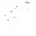 Fig. 05 - Inferred Dynamic Offers Subject To Mobile Device Holder Location
