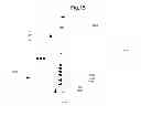 Fig. 16 - Inferred Dynamic Offers Subject To Mobile Device Holder Location