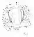 Fig. 06 - WEARABLE LOAD-CARRYING DEVICE