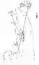 Fig. 02 - Bird Decoy Apparatus
