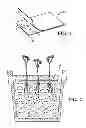 Fig. 02 - Seed Panel