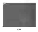 Fig. 02 - Nanowire ring preparation methods, compositions, and articles