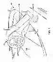 Fig. 02 - Swing away helm for watercraft