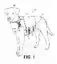Fig. 02 - Pressure-applying animal garment