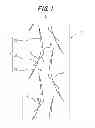 Fig. 02 - Pneumatic tire
