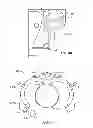 Fig. 06 - Large diameter tubular lifting apparatuses and methods