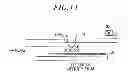 Fig. 09 - Magnetron sputtering apparatus and film forming method
