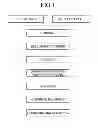 Fig. 02 - METHOD OF MANUFACTURING AT LEAST ONE LIQUID CRYSTAL DISPLAY ELEMENT