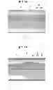 Fig. 06 - METHOD OF MANUFACTURING AT LEAST ONE LIQUID CRYSTAL DISPLAY ELEMENT