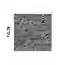 Fig. 09 - Lighting-emitting device with nanostructured layer and method for fabricating the same