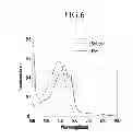 Fig. 07 - Organic electronic device