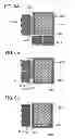 Fig. 07 - Semiconductor device and method for manufacturing semiconductor device