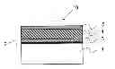 Fig. 01 - Piezoelectric element and piezoelectric device