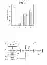Fig. 02 - Doped black ink with increased light scattering efficiency for nozzle health detection