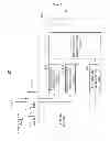 Fig. 02 - Multidimensional layer sending-and-receiving device and method for stereoscopic three-dimensional video data