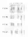 Fig. 09 - Taking lens system and image pickup apparatus using the same