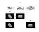 Fig. 08 - APPARATUS AND METHOD OF GENERATING HOLOGRAM BASED ON PATTERN REUSE