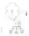 Fig. 02 - Optimizing capacity during network congestion